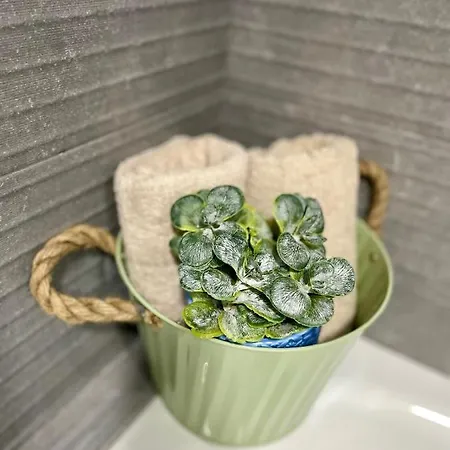 Gatu Camarote Con Vistas Al Mar , Preferente Mayores De 21 Anos Y Familias *